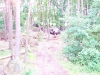 Bild 057.jpg